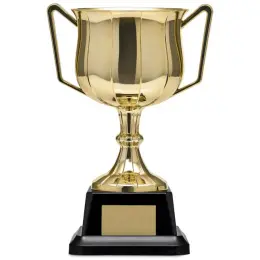 Altitude Aureus Medium Trophy Unbranded